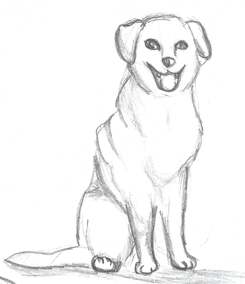 Draw a Dog - Focus on the Family