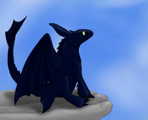 Gift- Toothless on a Cliff