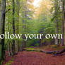 Follow your own path