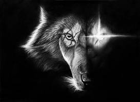 The Scarred One - Dark Beauty