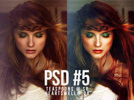 PSD #5