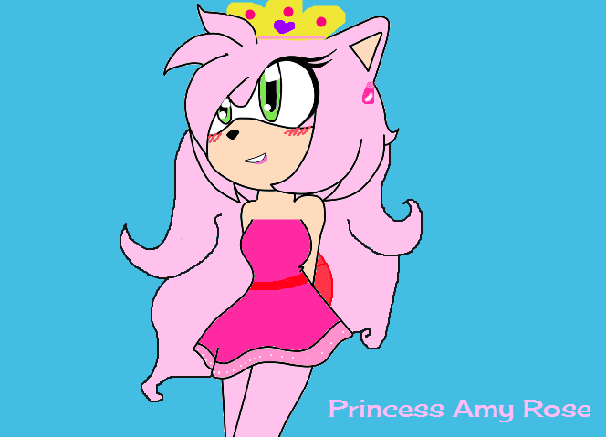Princess amy rose the hedgehog