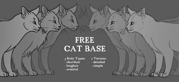 Explore the Best Catbase Art | DeviantArt
