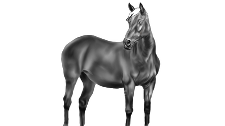 Horse Grayscale