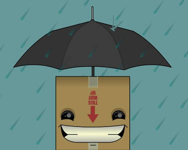 Box Rain