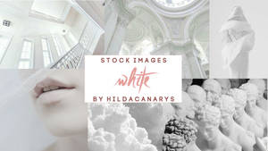 White - Stock Images