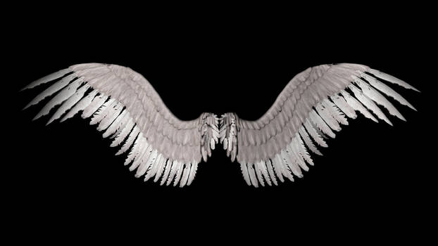 New Angel Wings