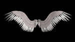 New Angel Wings by shadavar-stock