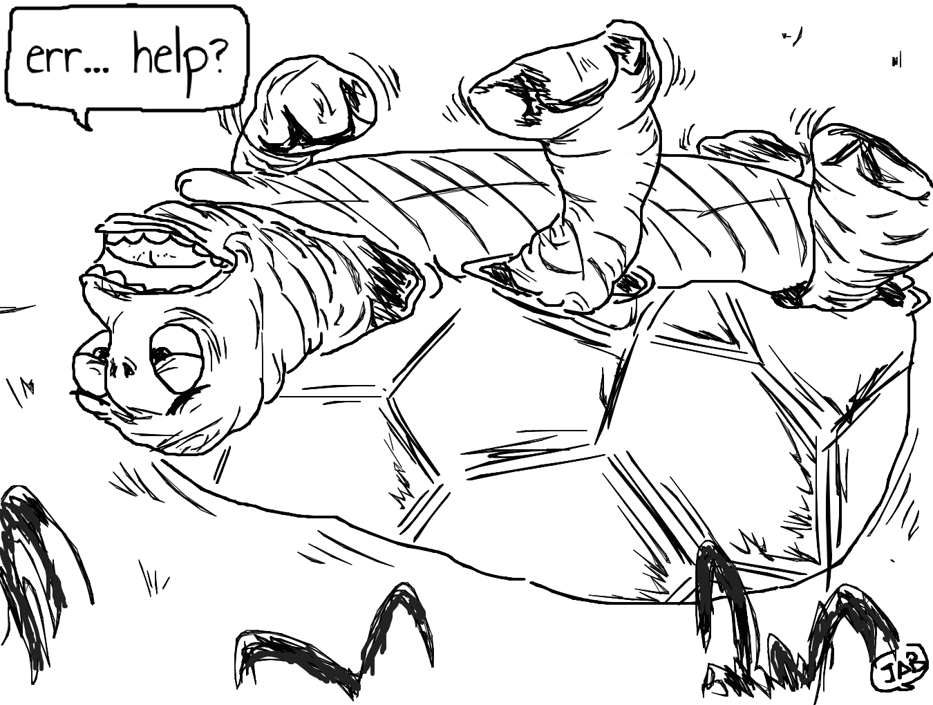 Turtle in trouble by jabd on DeviantArt