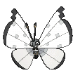 Vivillon by CreepyJellyfish
