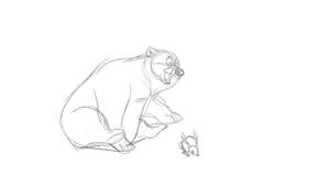 Bear and Hare test rough keys