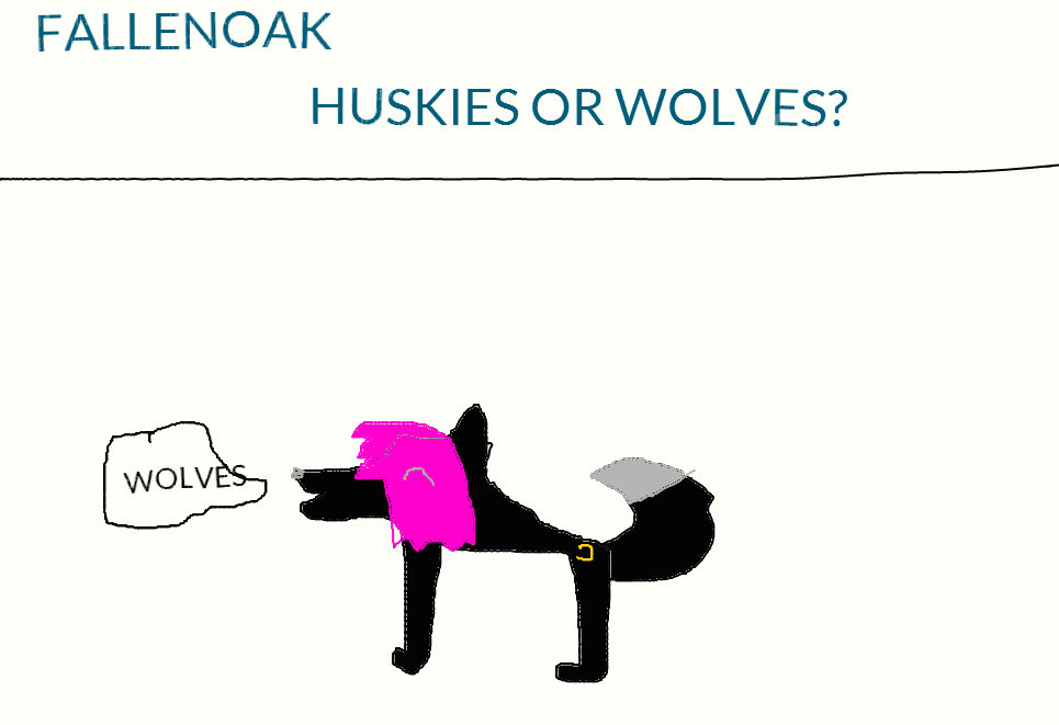 ASK 1 by sianathewolf on DeviantArt