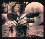 pack texture//2
