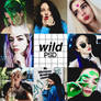 wild | .psd