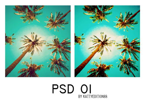 PSD 01