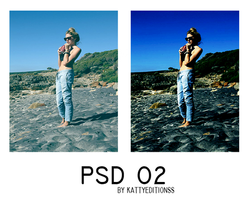 PSD 02