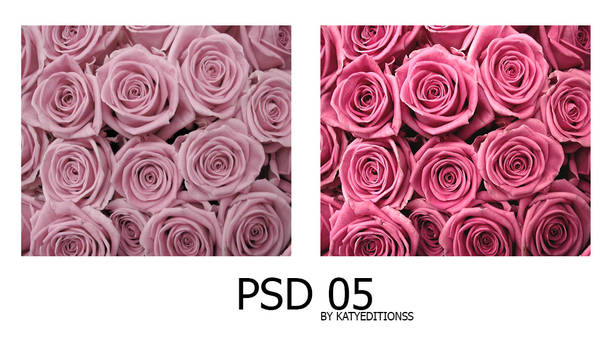 PSD 05 by kattyeditionss