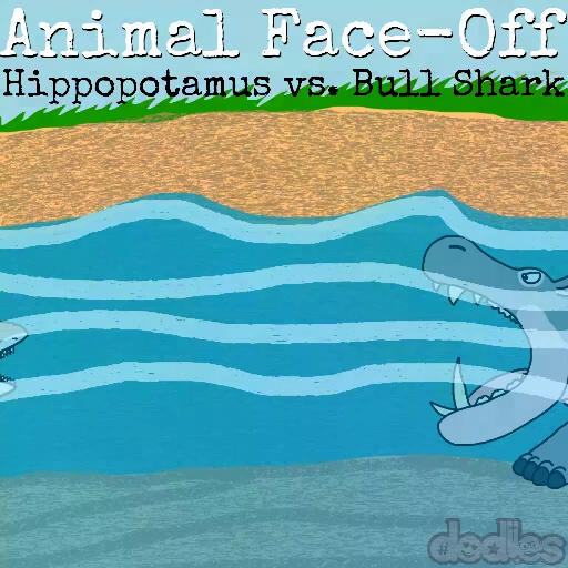 Hippopotamus Vs Bull Shark Animal Face Off By Pegasuszebra On Deviantart
