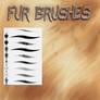 Fur Brushes
