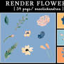 Render Flowers-one Click Andrea