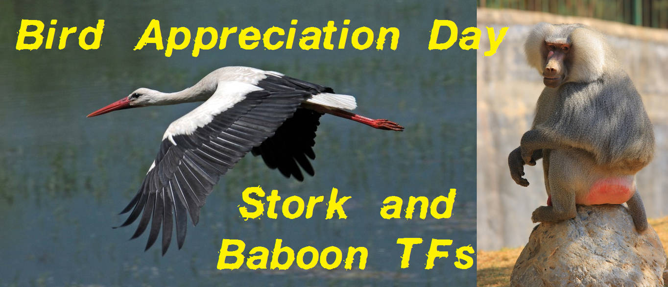 Bird Appreciation Day by Pheagle-Adler on DeviantArt