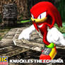 (MMD Model) Knuckles the Echidna Download