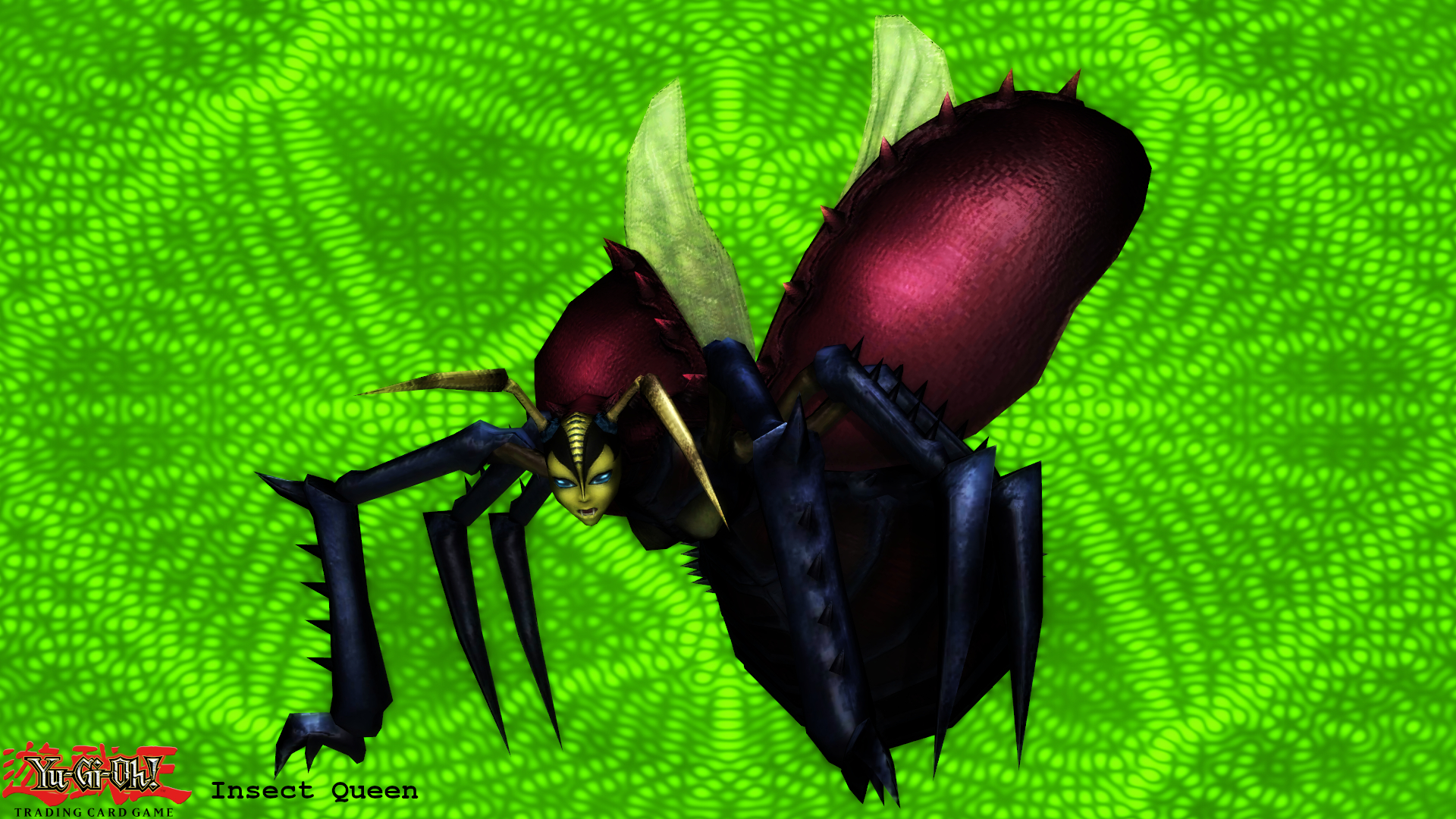Mmd insect