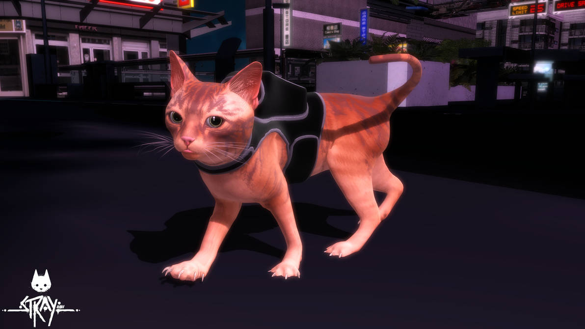 MMD Model) Cat (Stray) Download by SAB64 on DeviantArt
