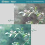 Green rain action.