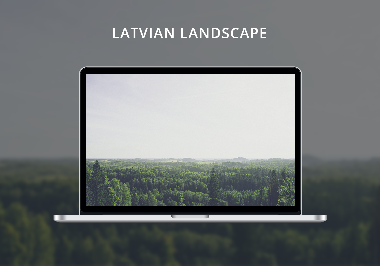 Latvian Landscape