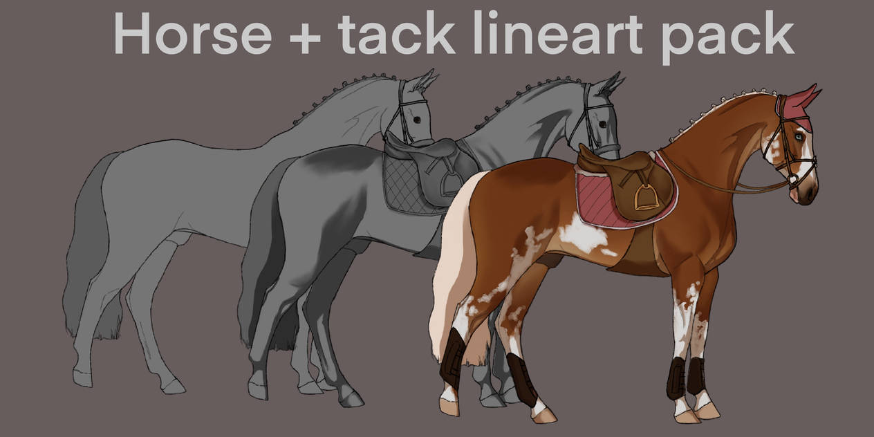 [LINEART PACK] Horse + tack by LundyEmerald on DeviantArt
