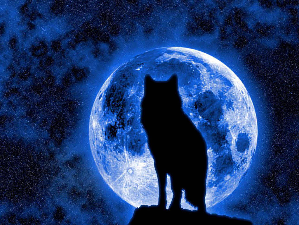 Про луну оборотней. Полнолуние волк. Волк и Луна. Волк воет на луну. Волк на фоне Луны.