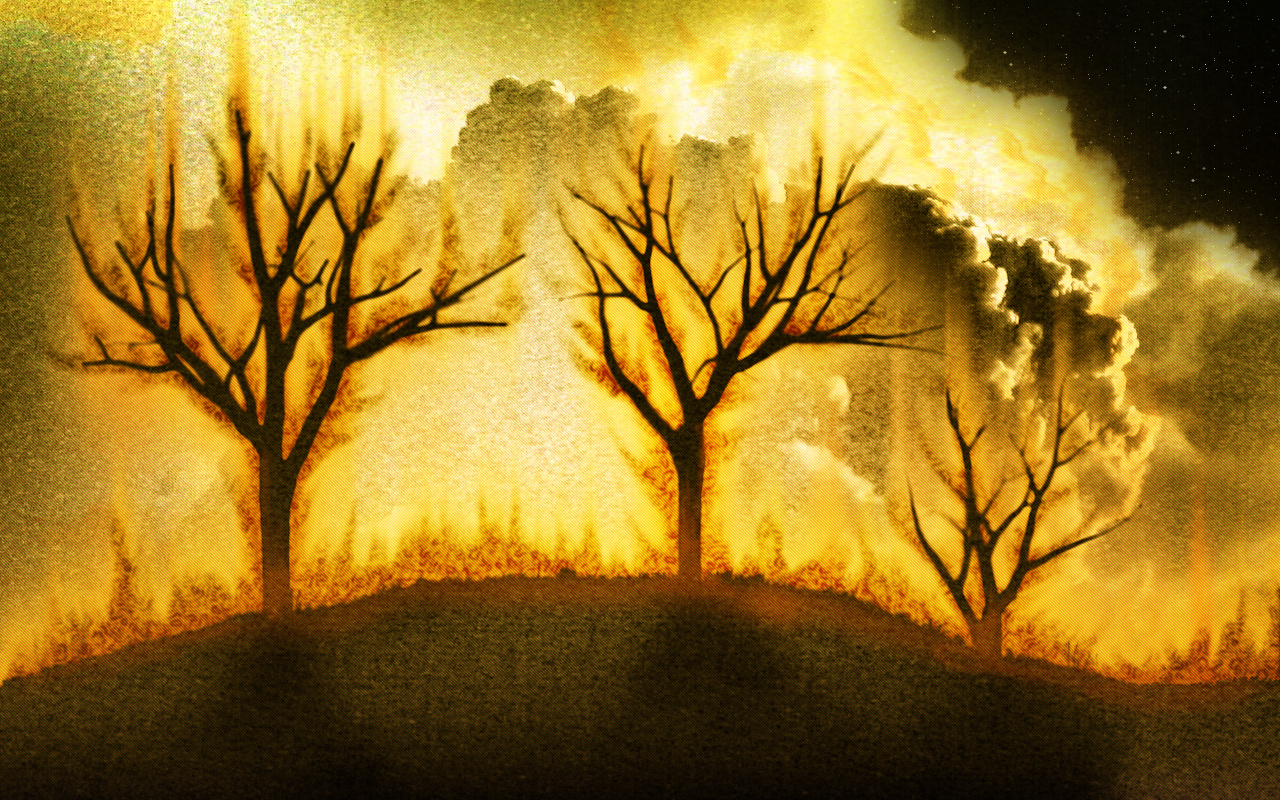 Burning Trees variation 3