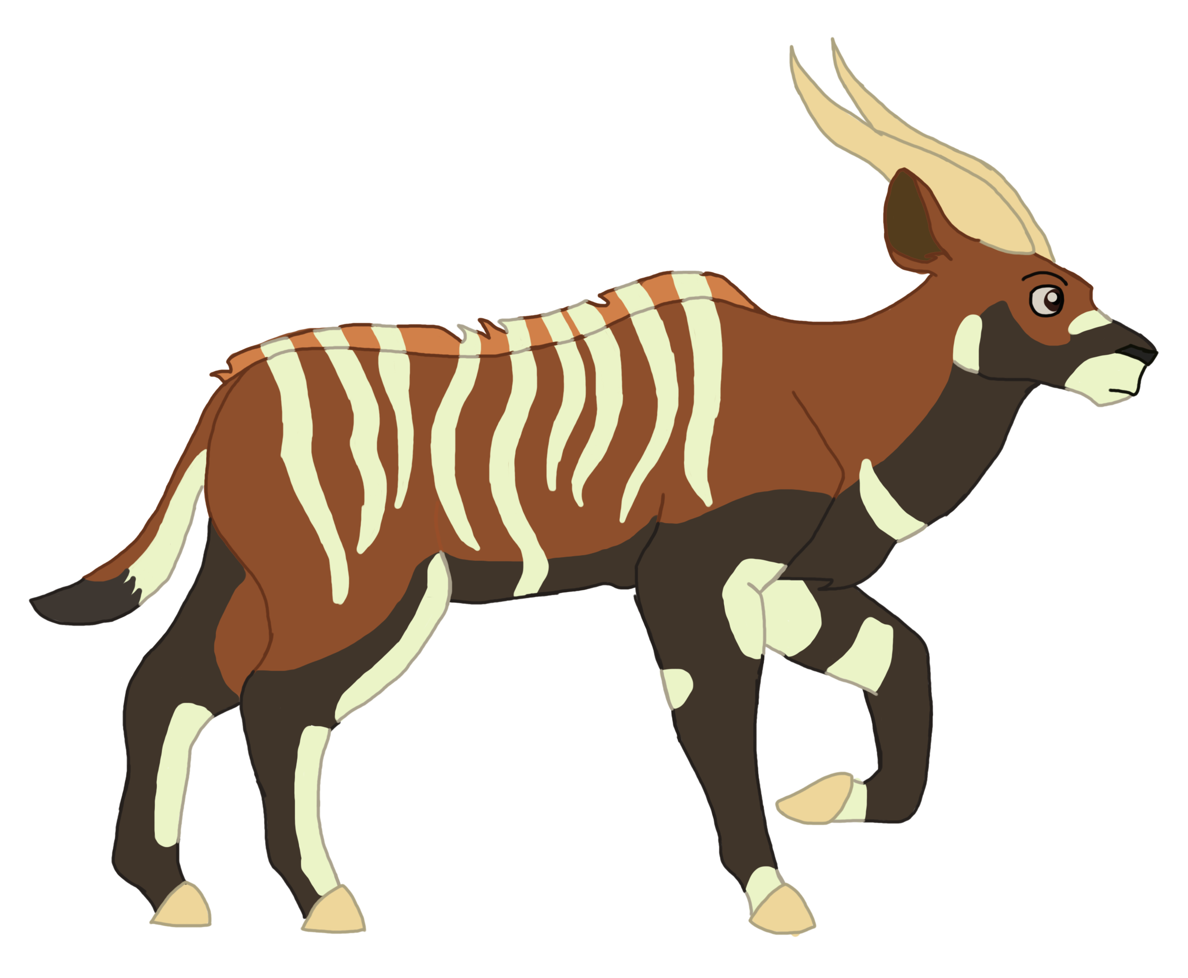 Bongo by AndrewShilohJeffery on DeviantArt