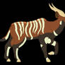 Bongo