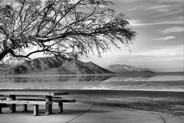 Flats, Tree, and Table