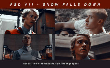 psd #11 - snow falls down