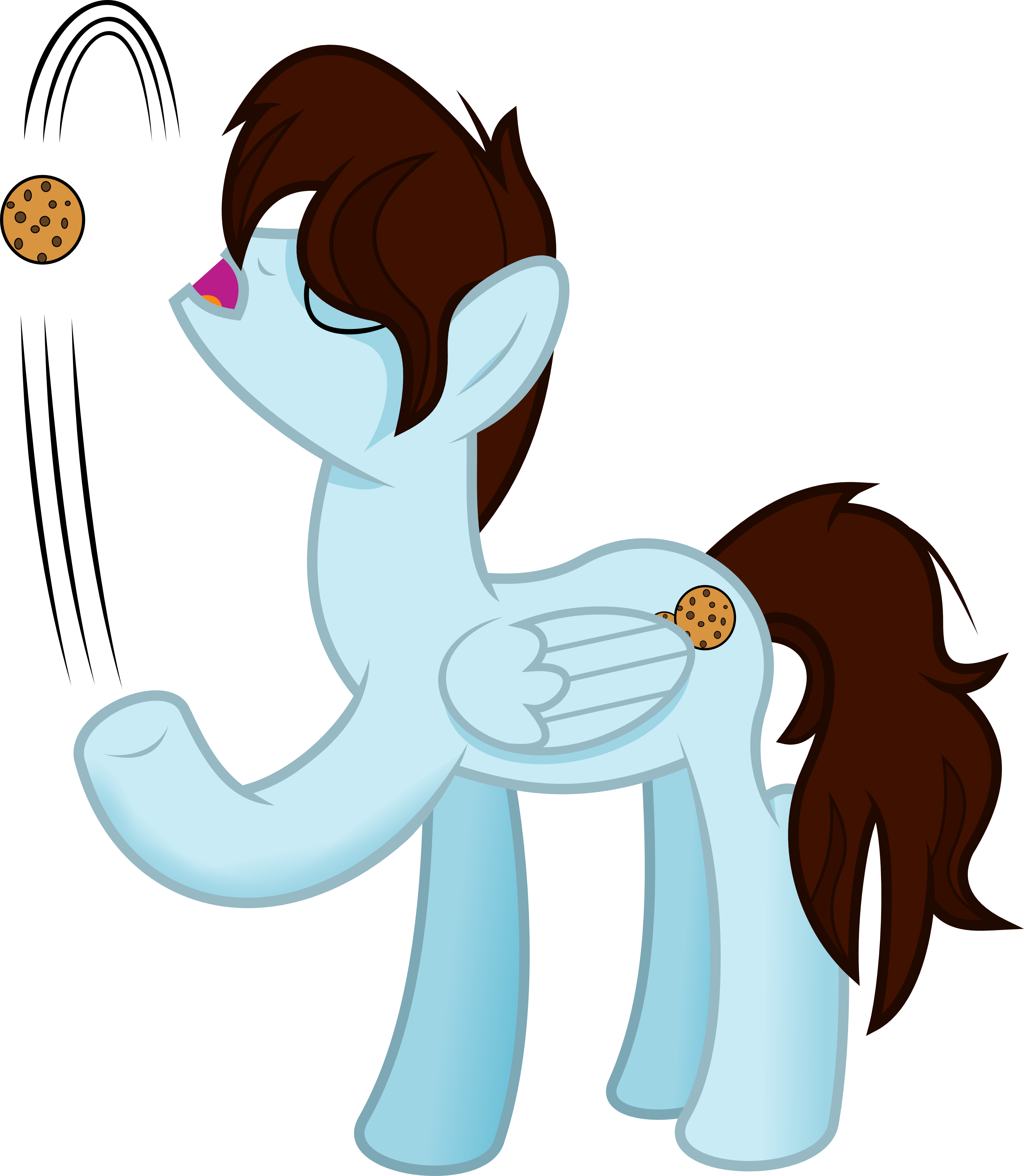 Cookie Shy