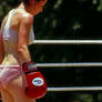 Knockout punch - head on the ropes