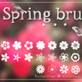 Spring Brushes || Clari