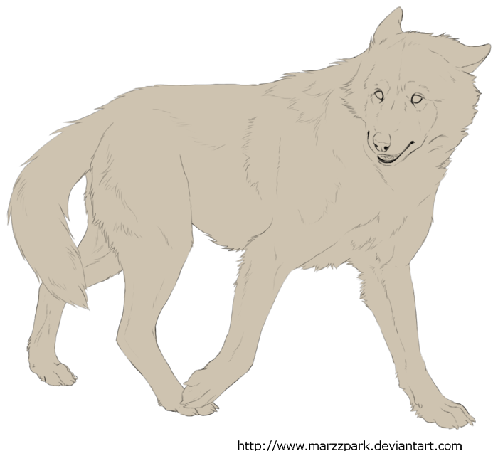 Free lineart wolf walking by Marzzunny on DeviantArt