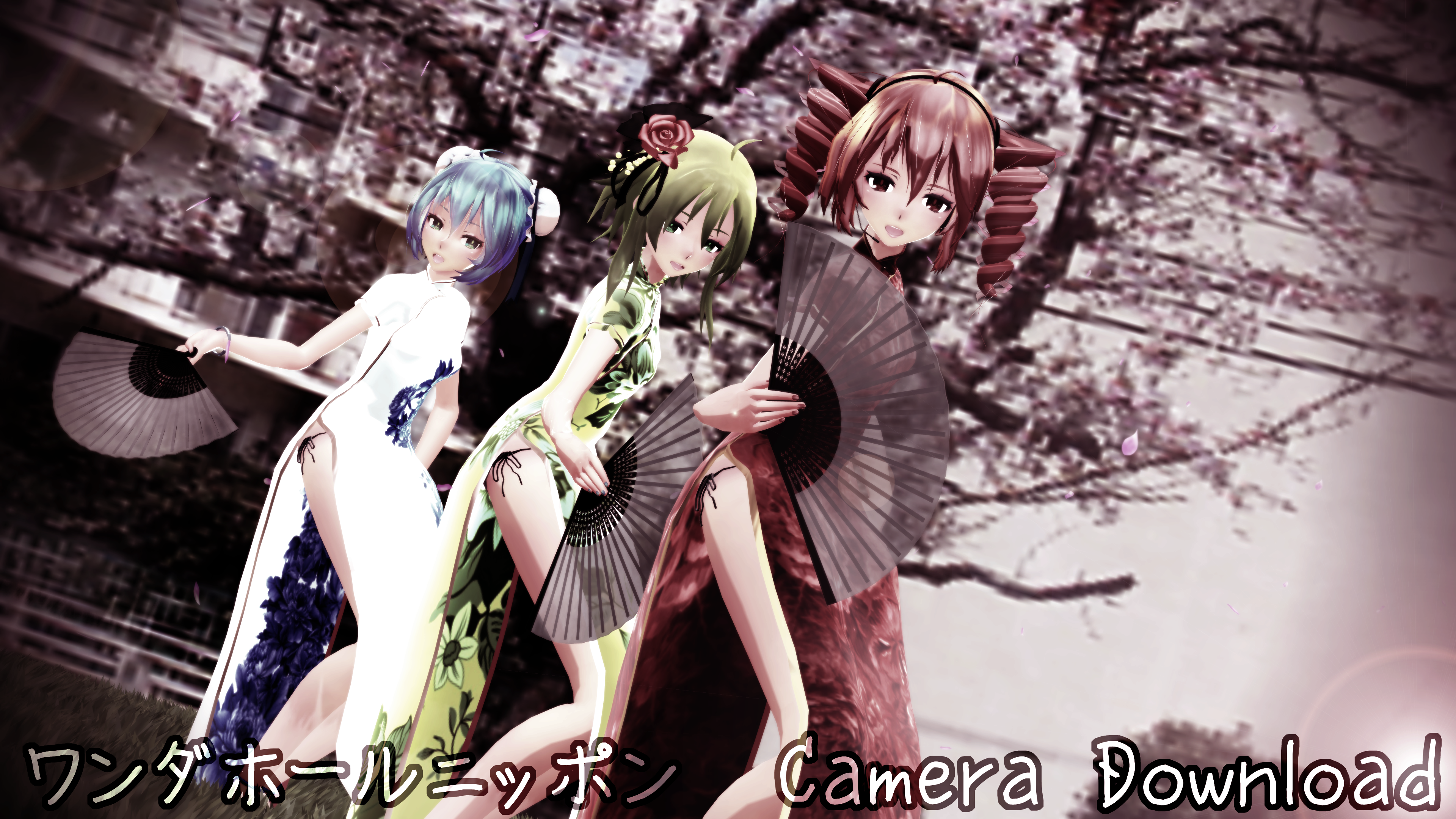 Wonderful Nippon Camera Motion [DL]