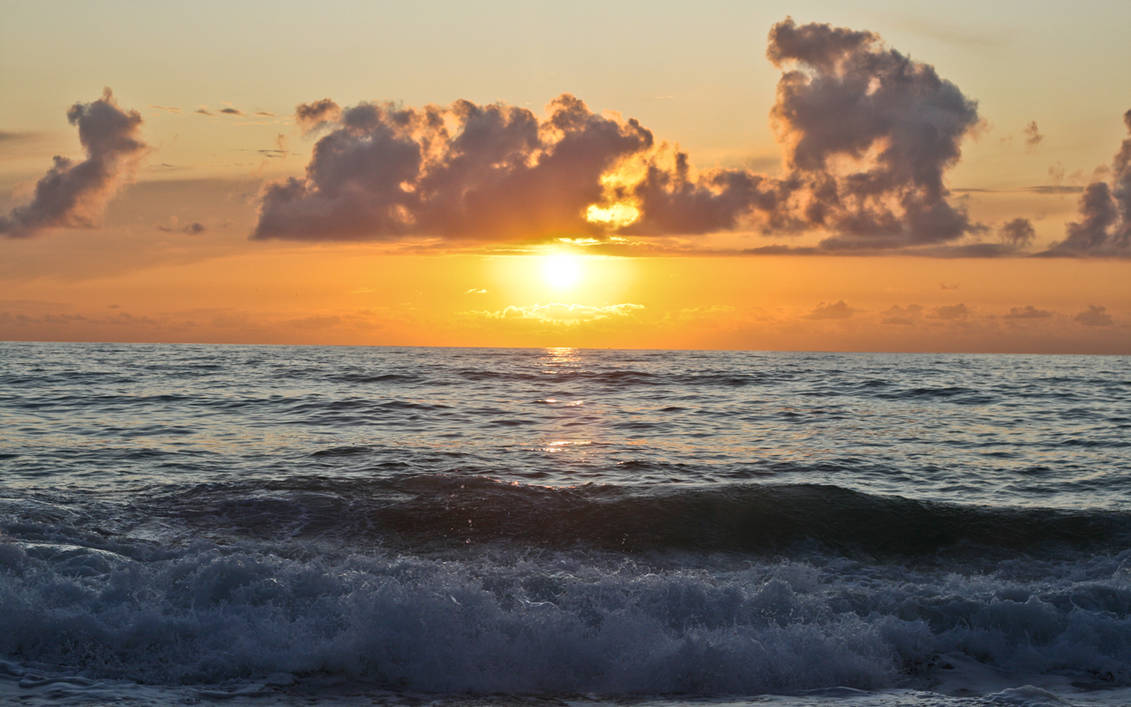 Cap Ferret Wallpaper Pack by oceanbased on DeviantArt