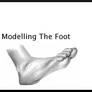 2, Modelling Foot