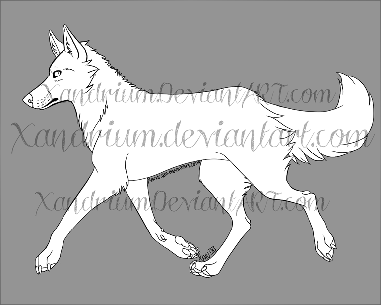 Wolf/Canine Lineart/Base [100 points]