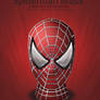 Spiderman Mask Pack