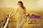 Free Aesthetic Autumn Effects Photoshop Actions