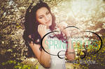 Free Download Spring Color Lightroom Workflow