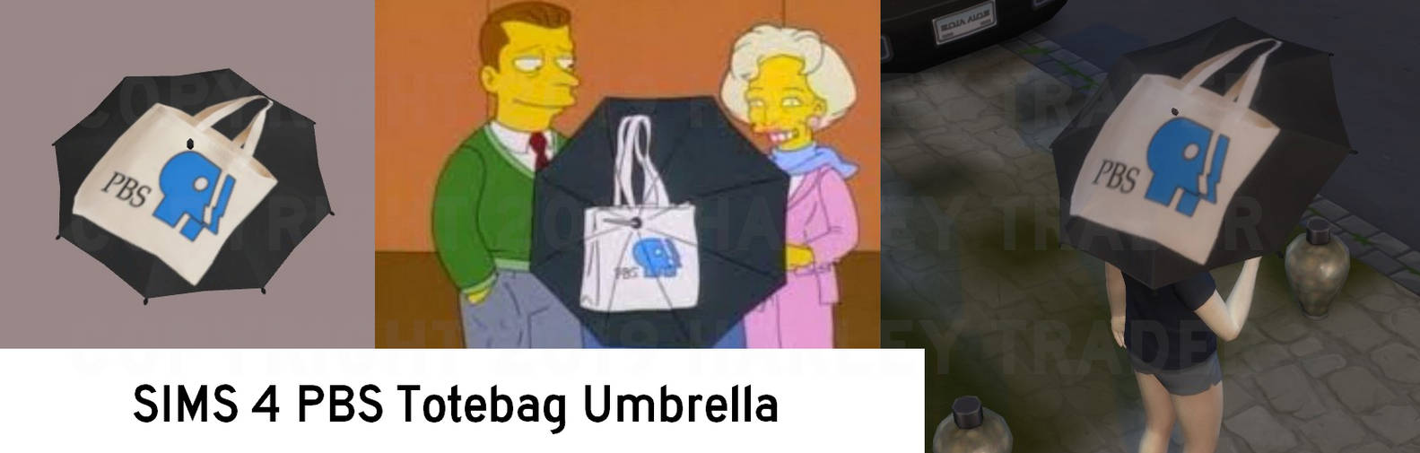 Pbs tote bag best sale