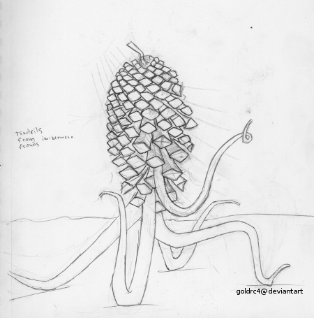 Sentient Drawing Sentient pine cone concept drawing by goldrc4 on DeviantArt